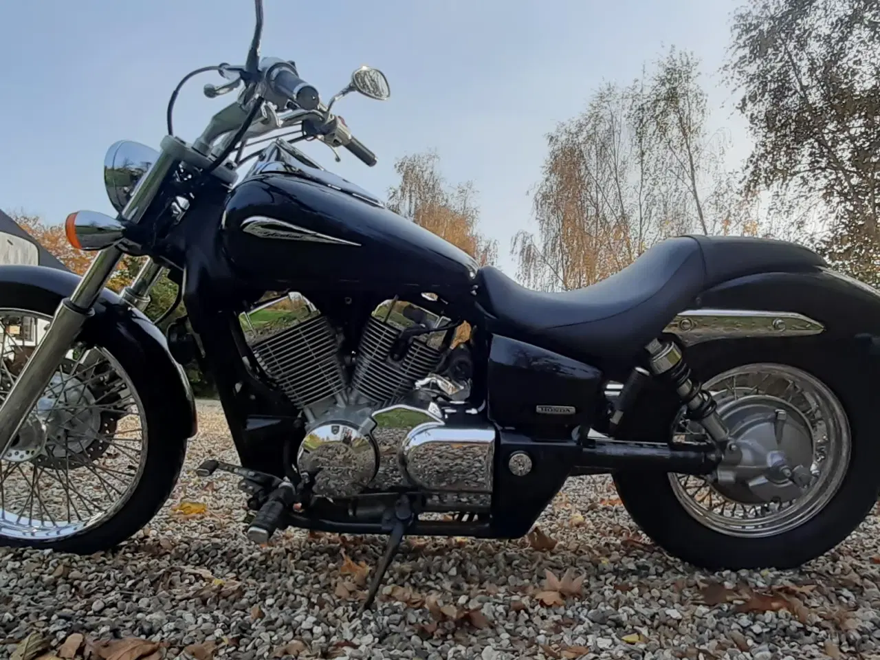 Billede 6 - Honda Shadow VT 750 Spirit