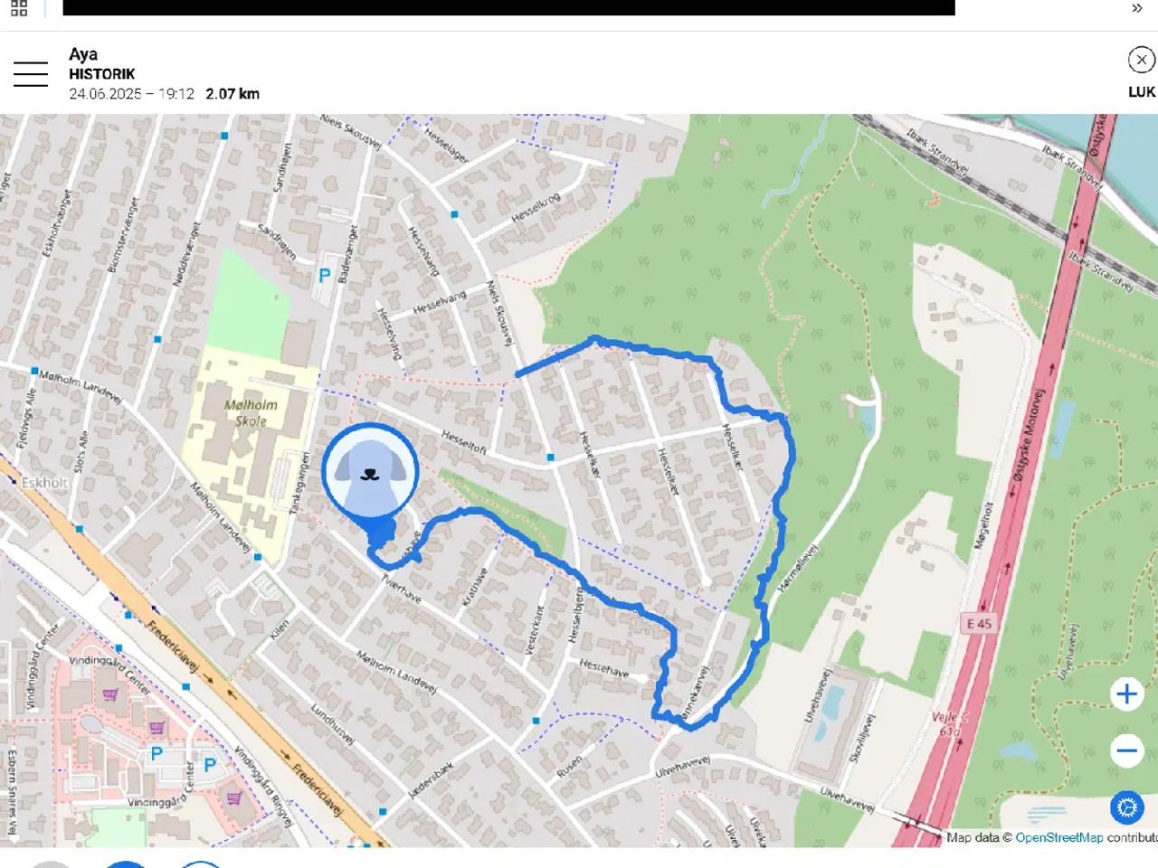 Billede 2 - Hunde-gps (Tractive) med 9 mdr. abonnement