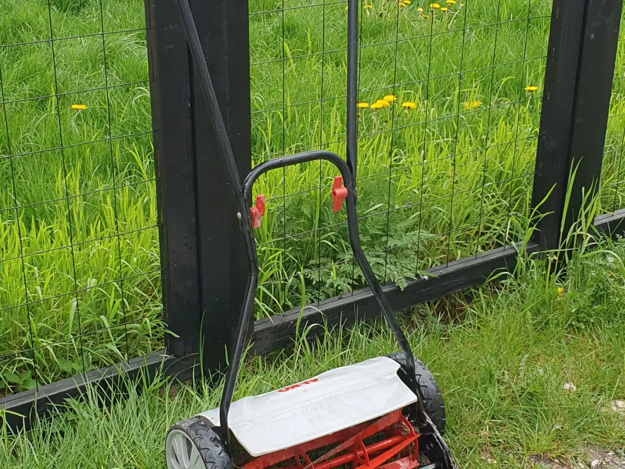 Billede 3 - Alko cylinderklipper 