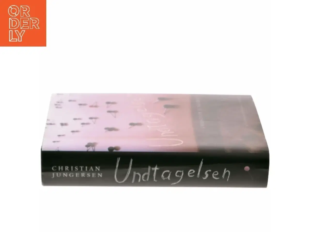 Billede 2 - Undtagelsen : roman af Christian Jungersen (Bog)