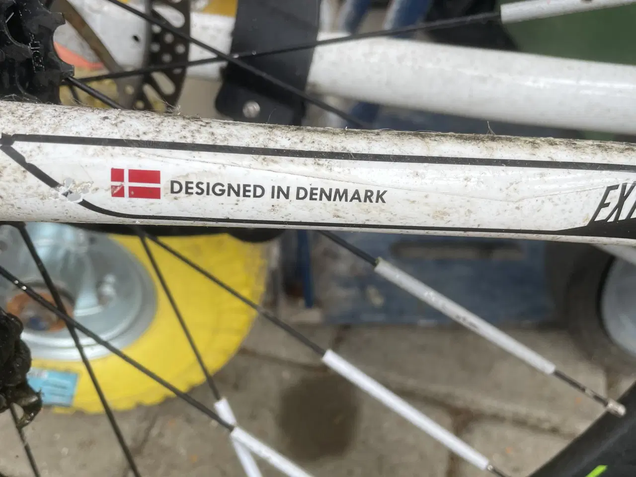 Billede 5 - Cykler kildmoes