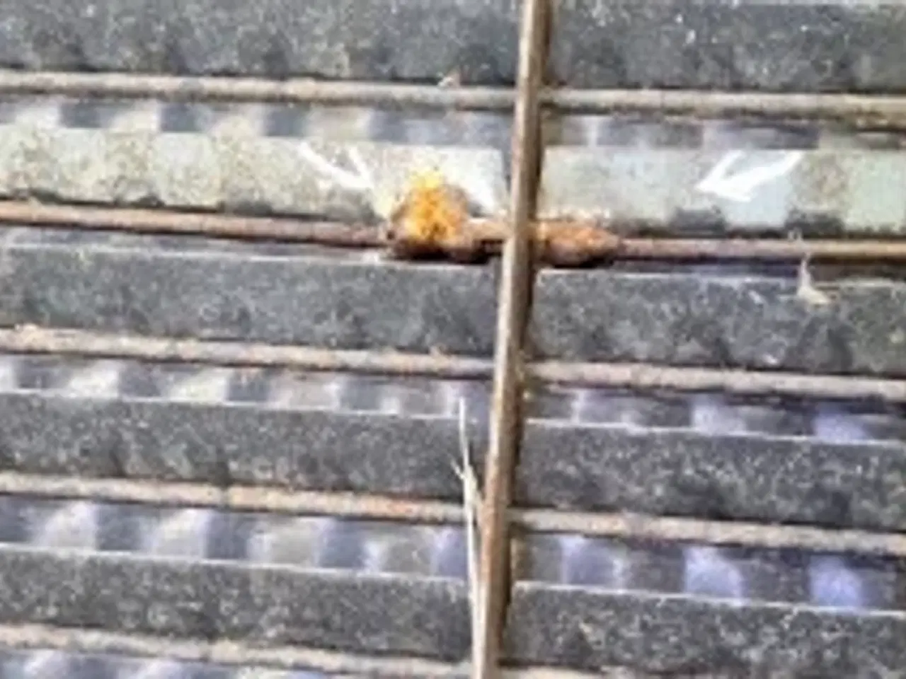 Billede 5 - Laverda L517 Oversold (3)  322136700