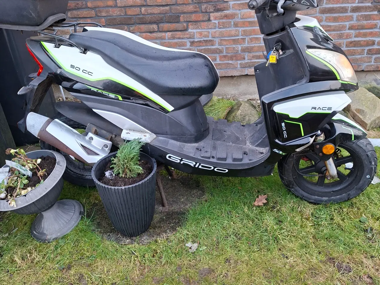 Billede 2 - Vga grido sælges