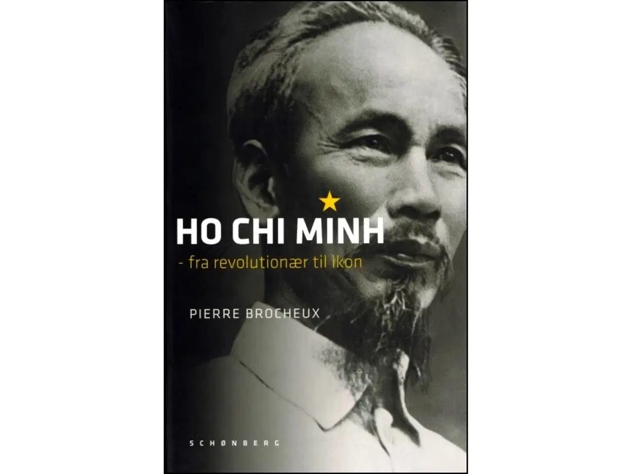 Billede 1 - Ho Chi Minh - fra revolutionær til ikon