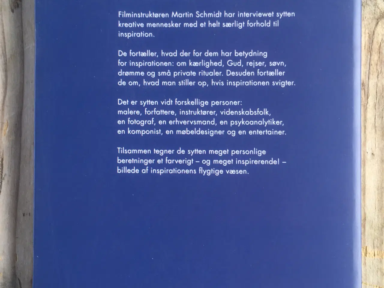 Billede 2 - Inspiration : 17 interviews, Martin Schmidt