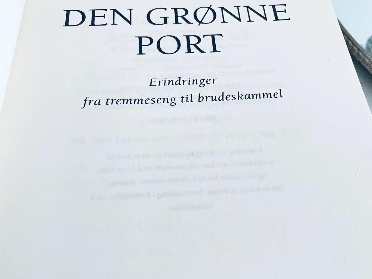 Billede 6 - Den grønne port - Jane Aamund 