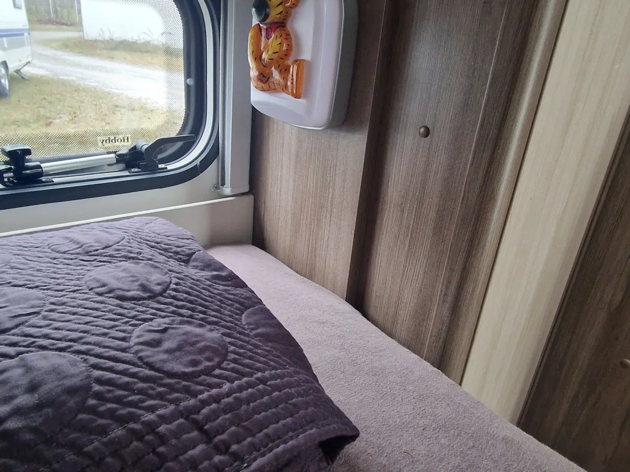 Billede 9 -  Tag et kig på denne skønhed. 