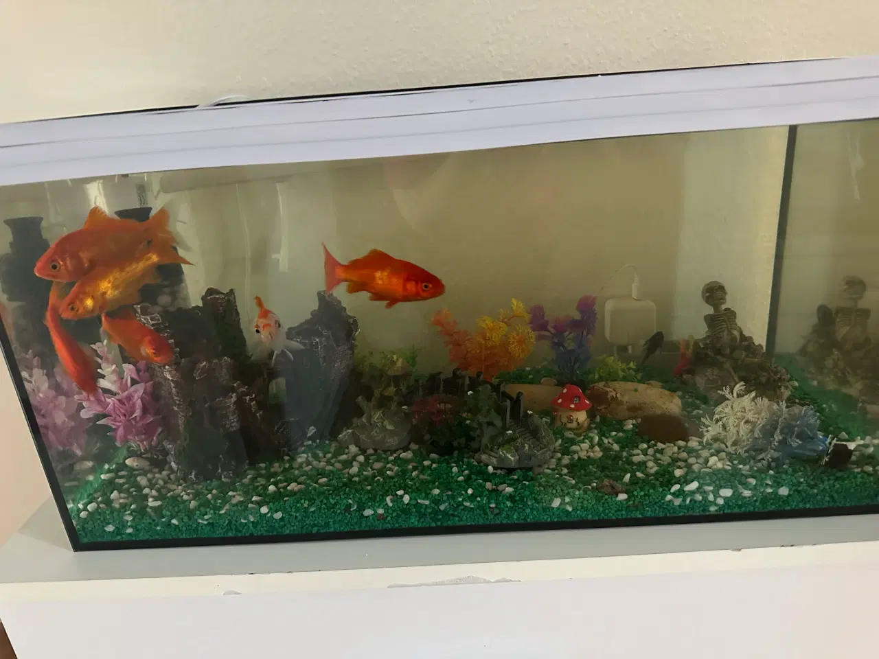 Billede 3 - Akvarie med fisk