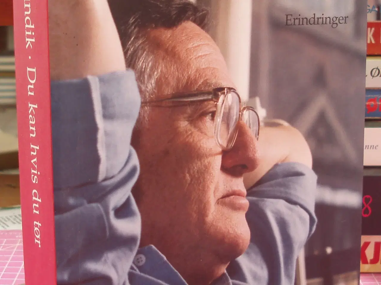 Billede 1 - Herbert Pundik, du kan hvis du tør