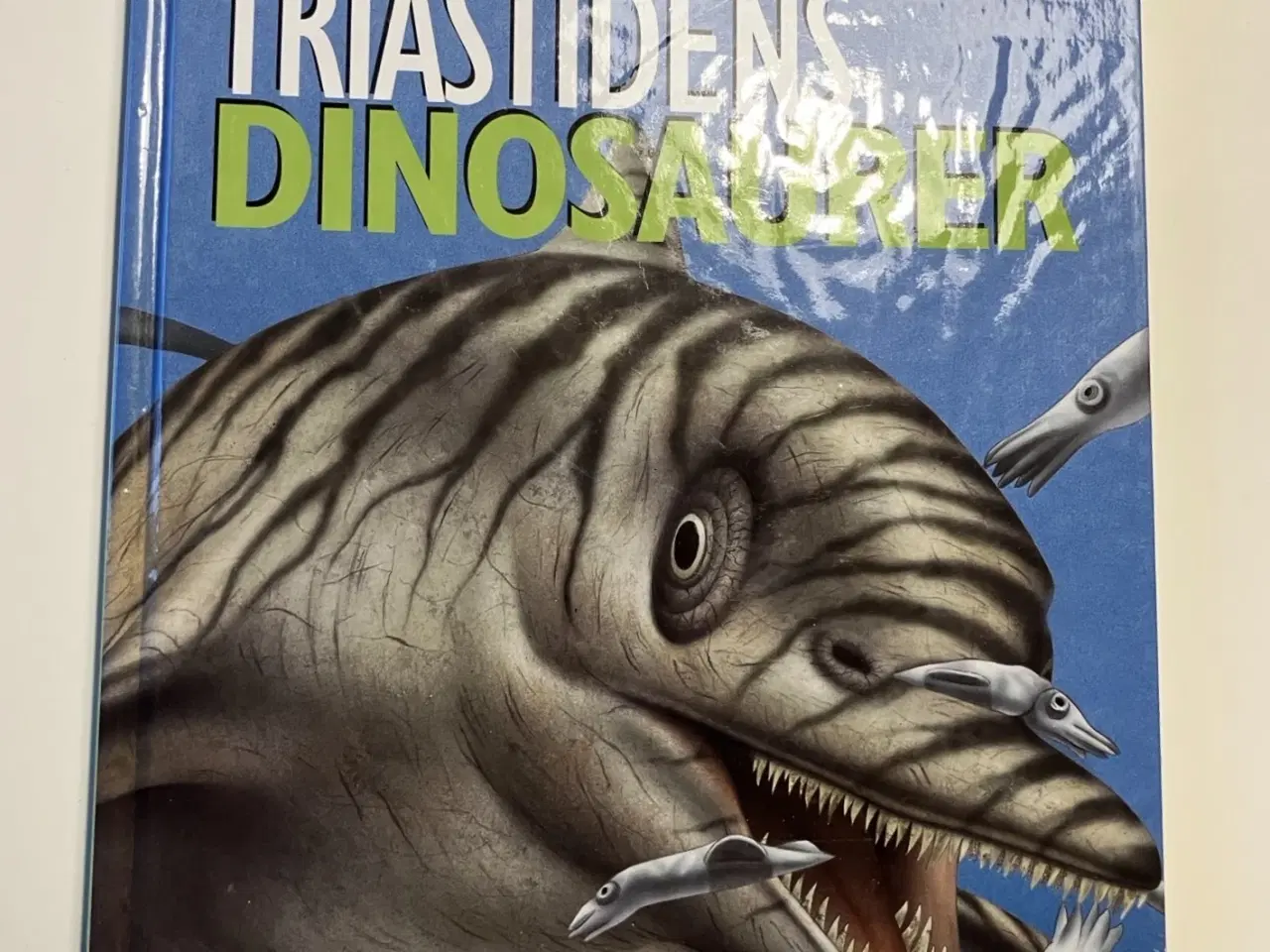 Billede 2 - Triastidens dinosaurer. Af Rupert Matthews