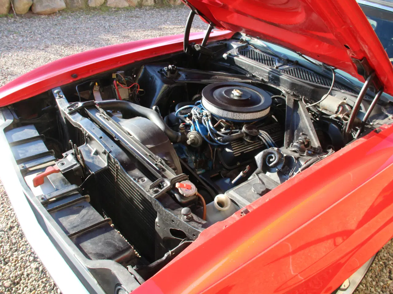 Billede 19 - Ford Mustang Cab 1971