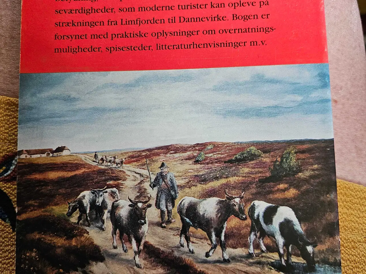 Billede 2 - Mads Lidegaard - Hørvejen