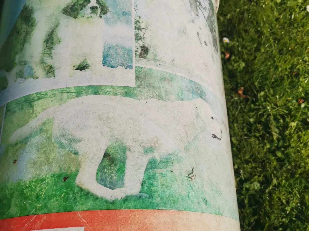 Billede 4 - Royal Canin Stor spand 4 kr