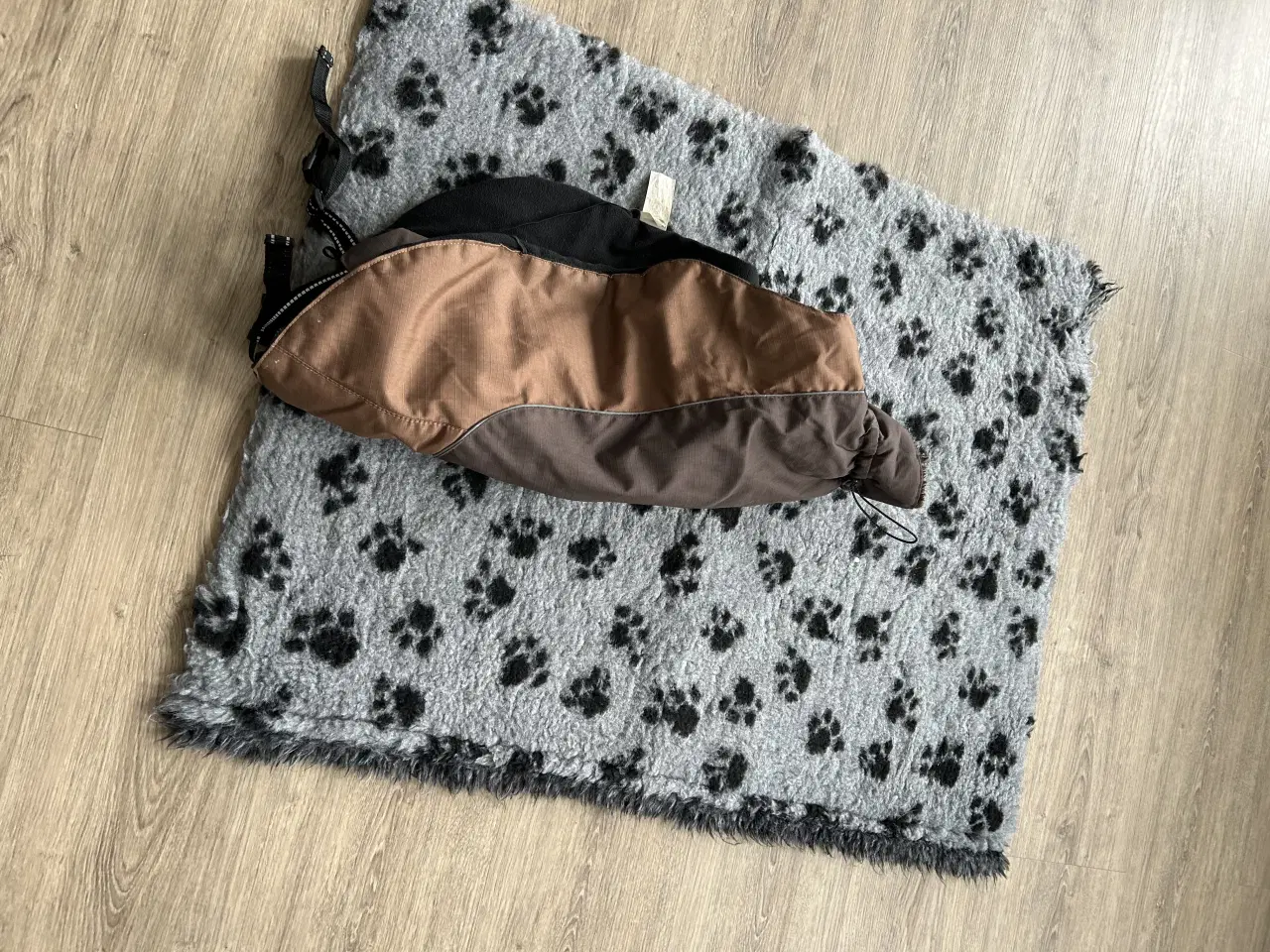 Billede 4 - Simparica hundetabletter 80 mg og DOG sele samt hu