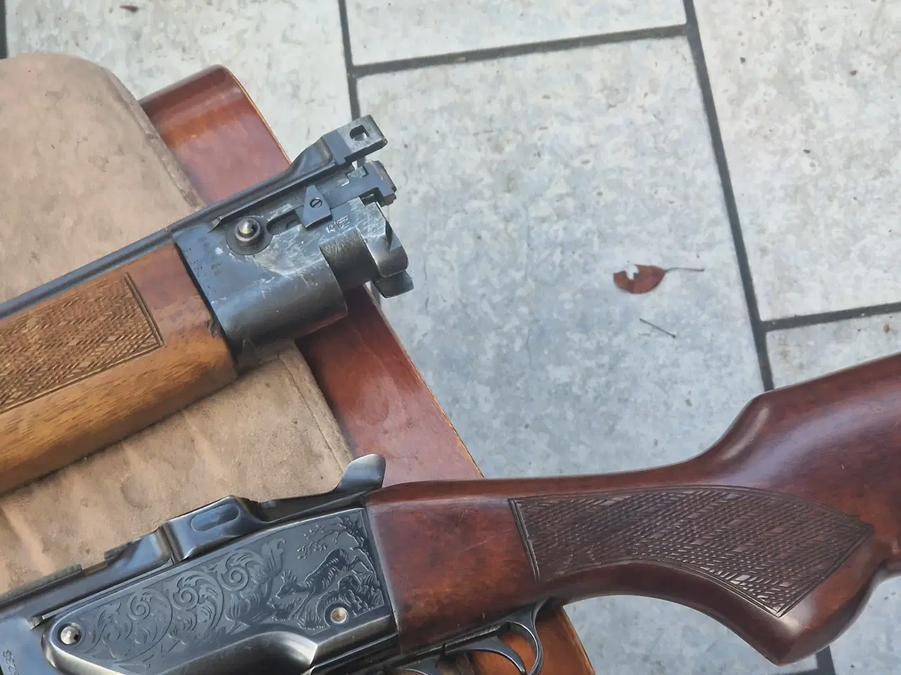 Billede 2 - Bockbuchsfiinte