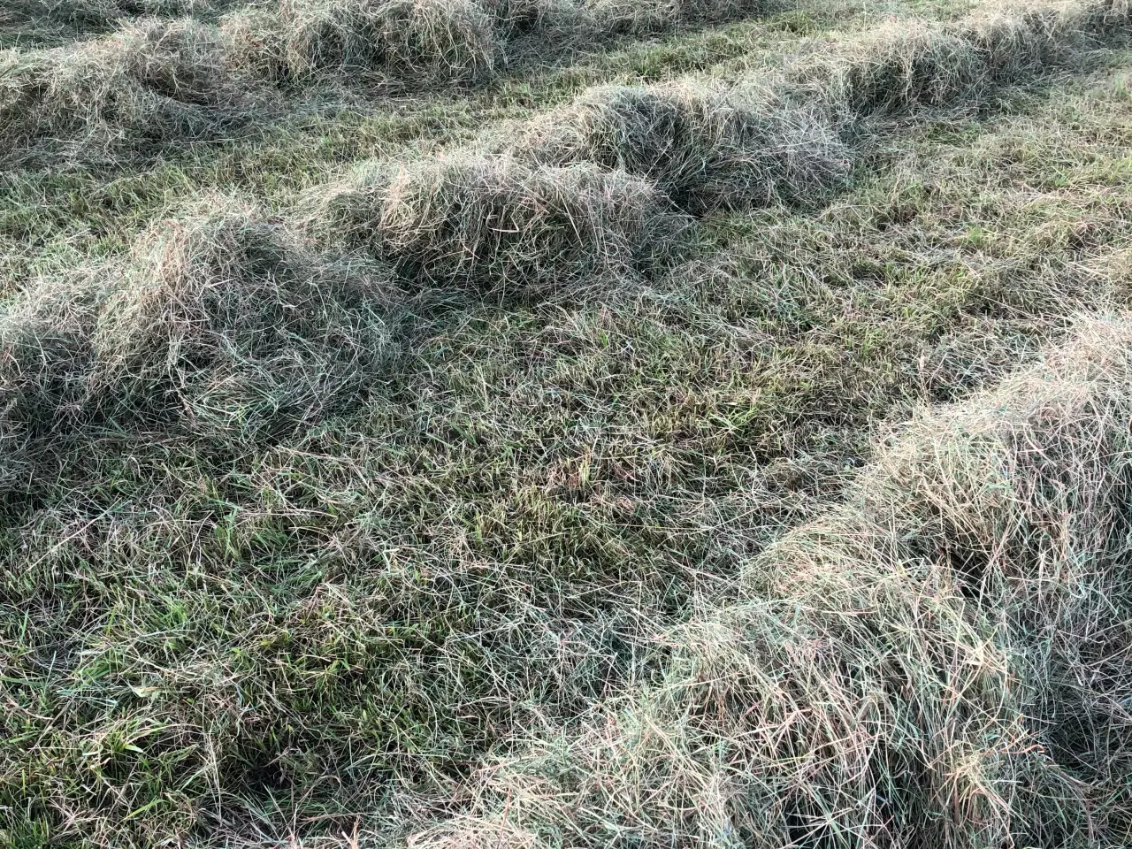 Billede 2 - Wrap HorseMax Slæt direkte fra marken