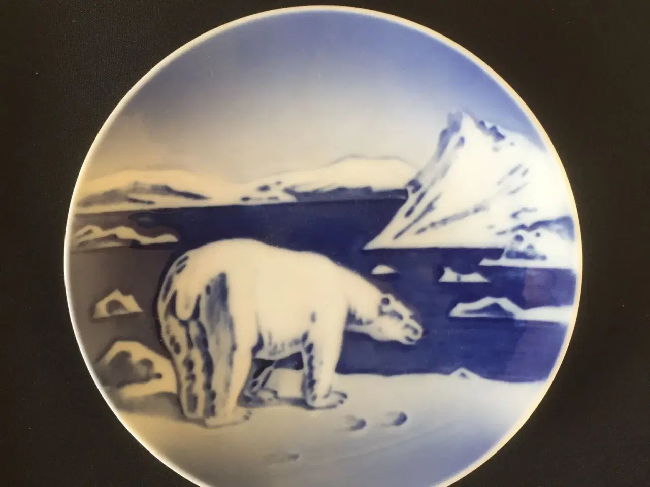 Billede 1 - Isbjørneplatte