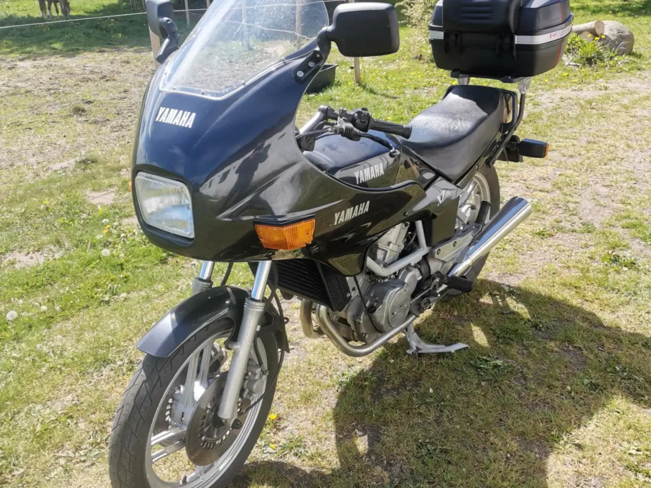Billede 6 - Søger skovturs hest - bytte med motorcykel