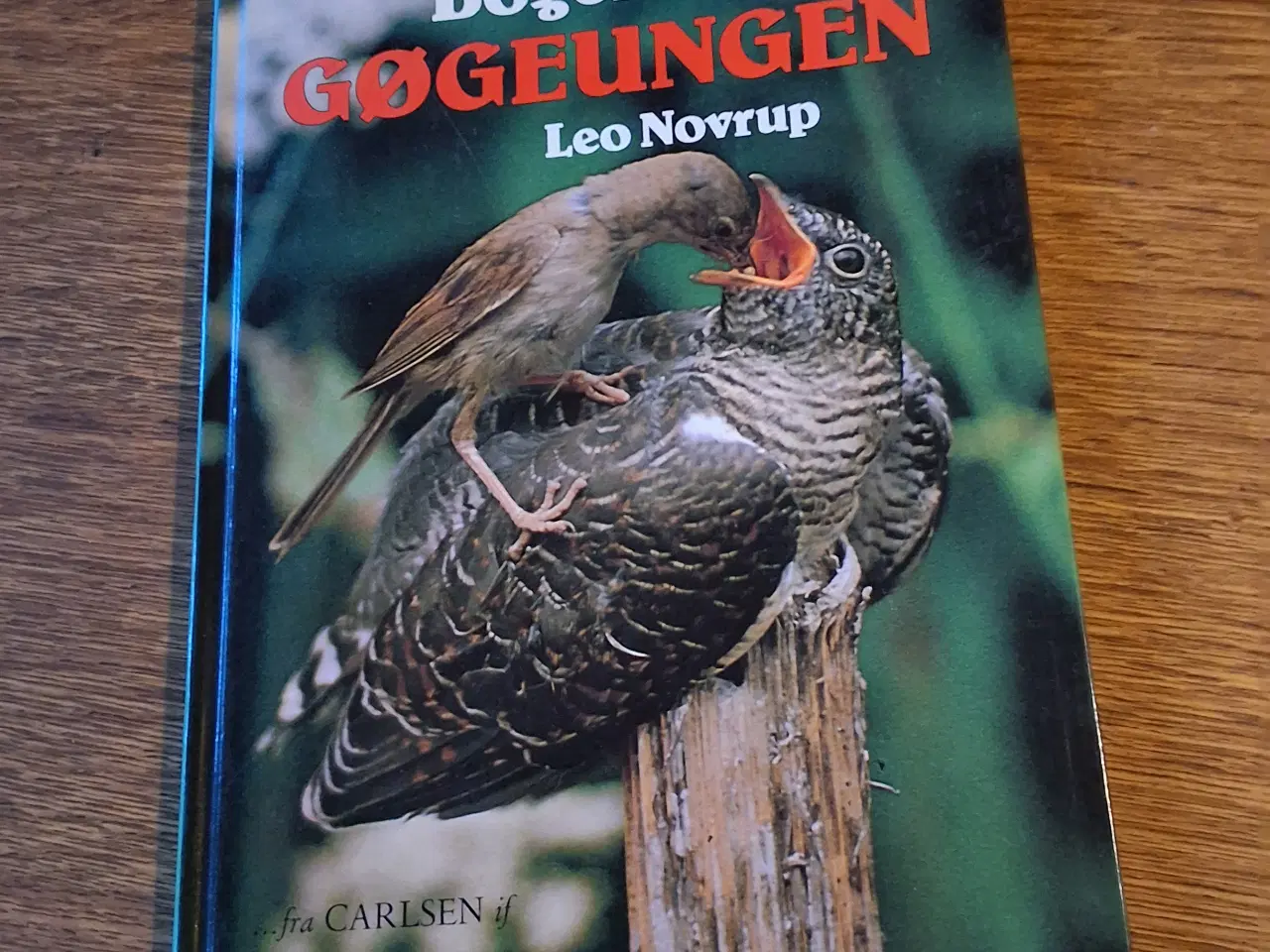 Billede 1 - GØGEUNGEN, af Leo Novrup og Poul Erik Andersen