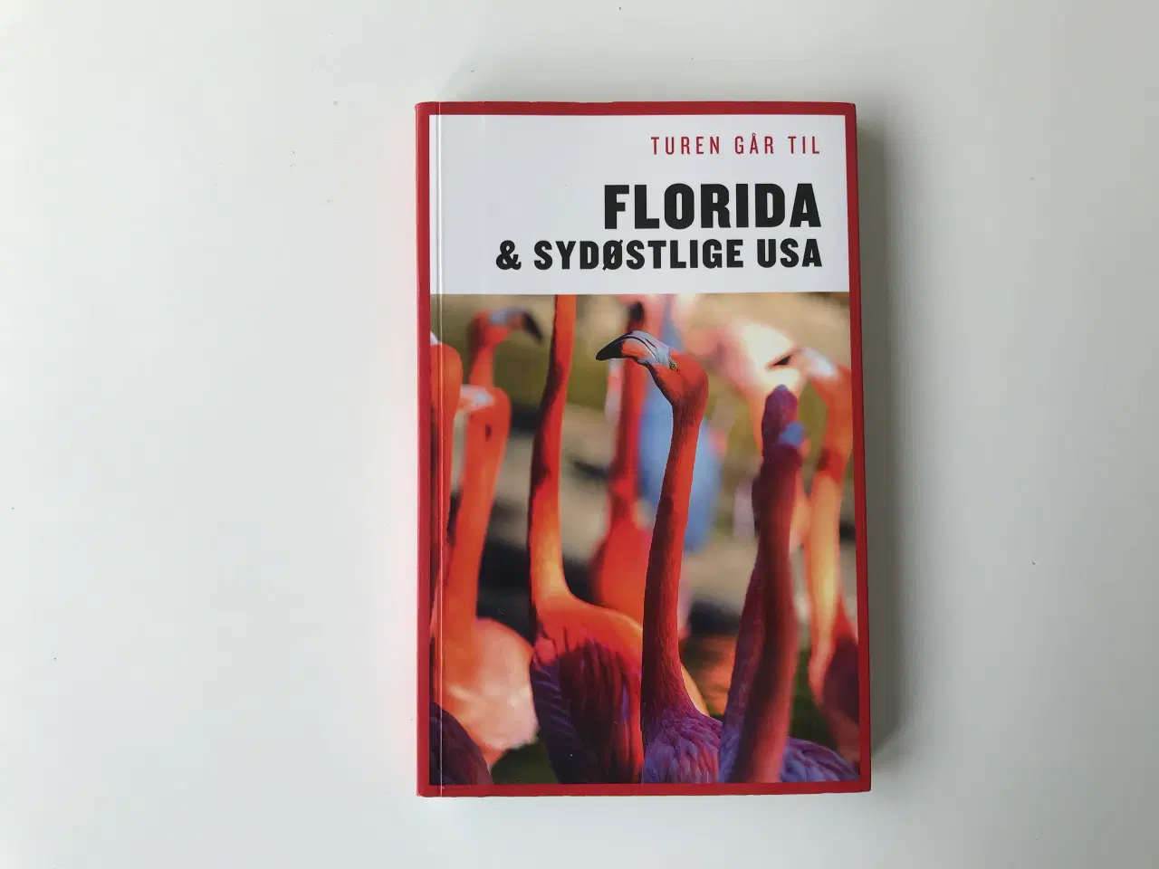 Billede 1 - Turen går til Florida & Sydøstlige USA