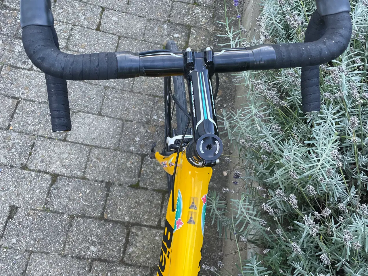 Billede 2 - Team Rynkeby Cykel (2015) 60 cm