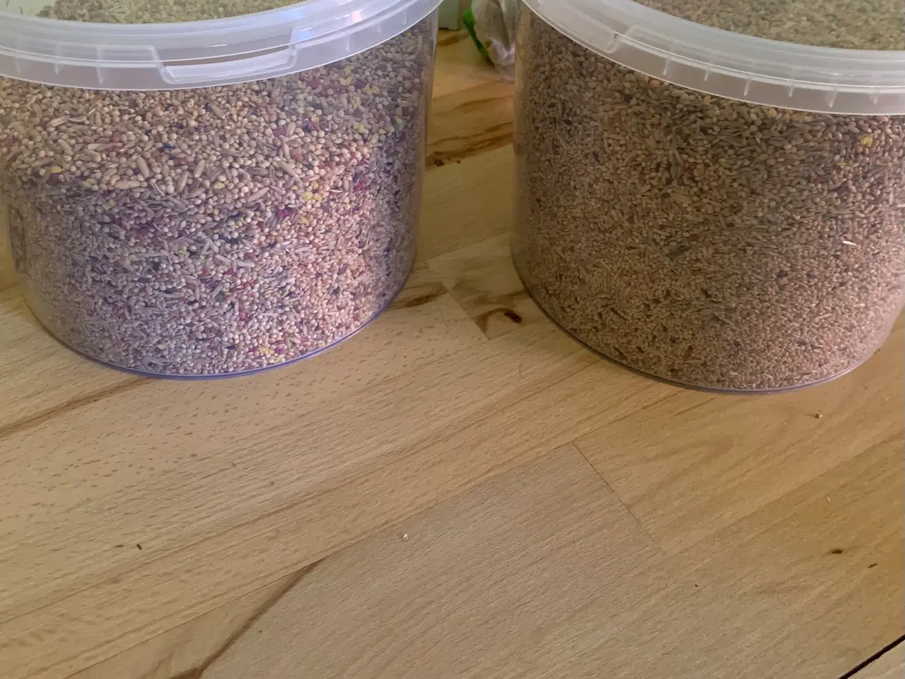 Billede 4 - Undulat med alt tilbehør 