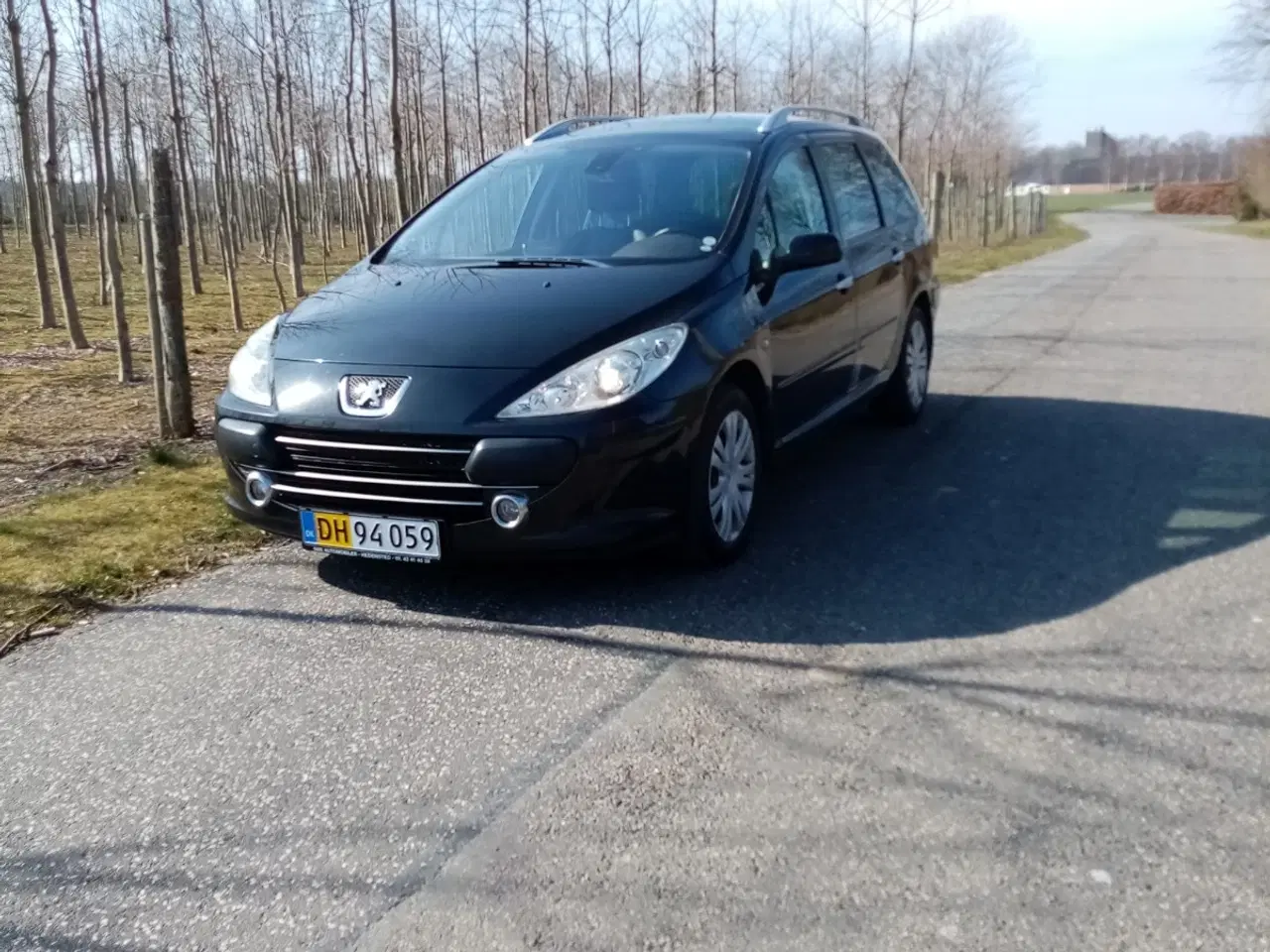 Billede 1 - Peugeot 307 AirVan