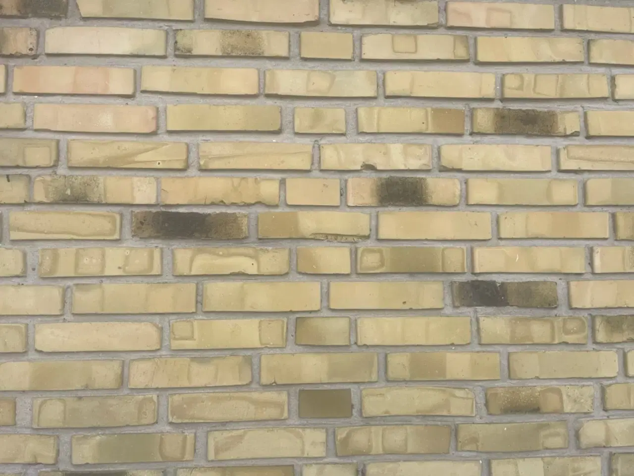 Billede 1 - Mursten gule og brændte købes - ca. 15M2