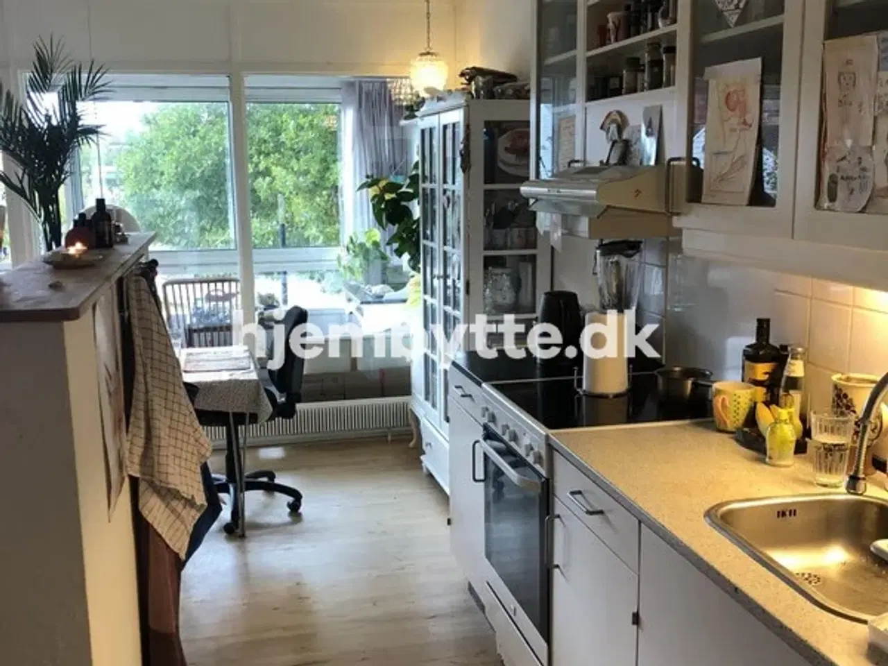 Billede 4 - Hjembytte - Skovengen