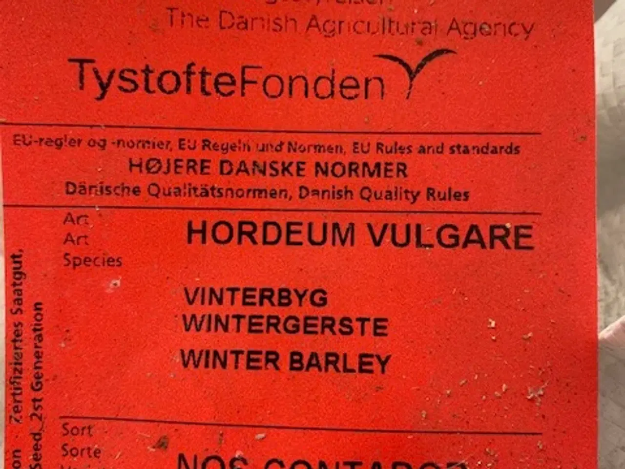 Billede 2 - Vinterbyg udsæd 2000kg