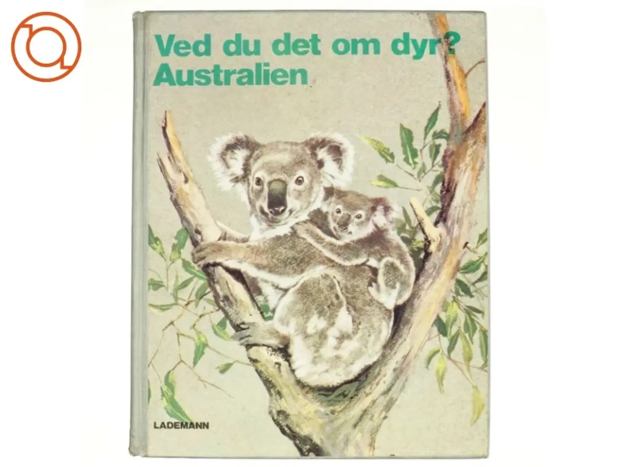 Billede 1 - Ved du det om dyr? Australien
