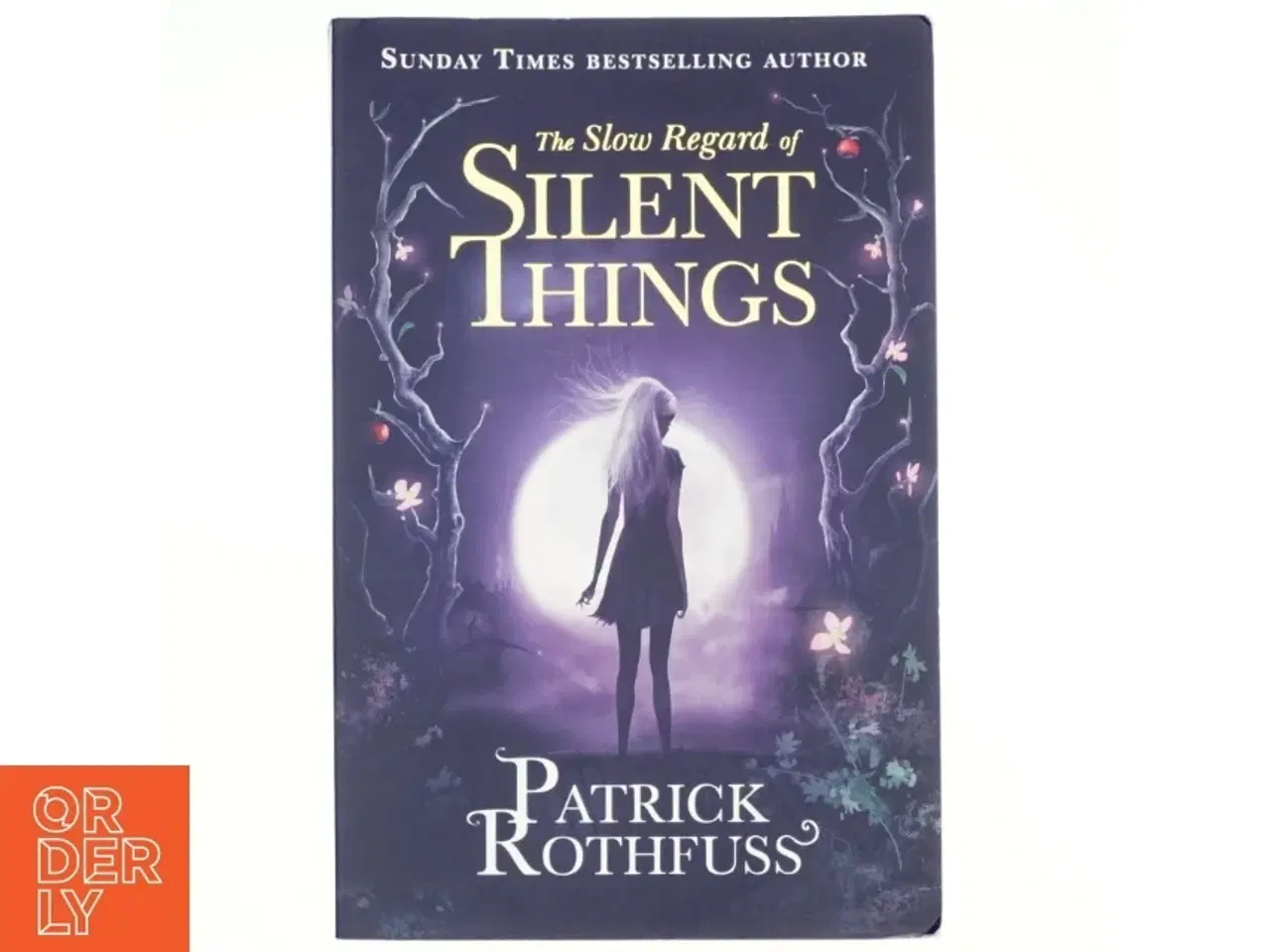 Billede 1 - The Slow Regard of Silent Things af Patrick Rothfuss (Bog)