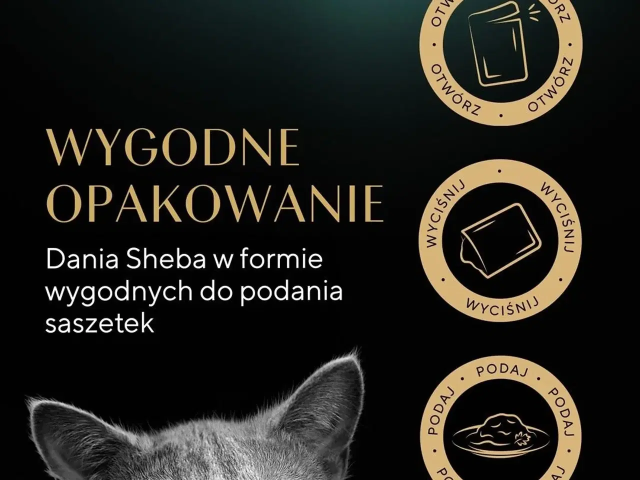 Billede 12 - Vådfoder til kat – Sheba Delicacy Fjerkræ i gelé, 40×85 g