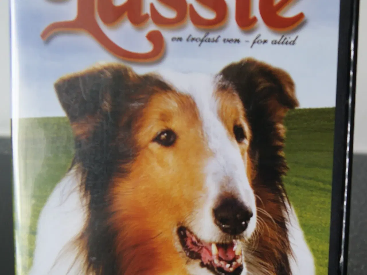 Billede 7 - Lassie DVD’er  film Sælges 