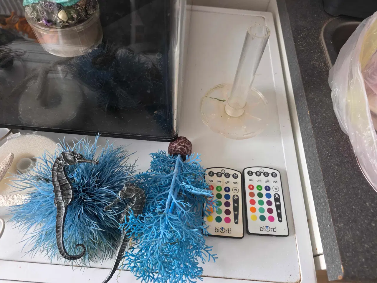 Billede 8 - BiOrb 60 udgået model