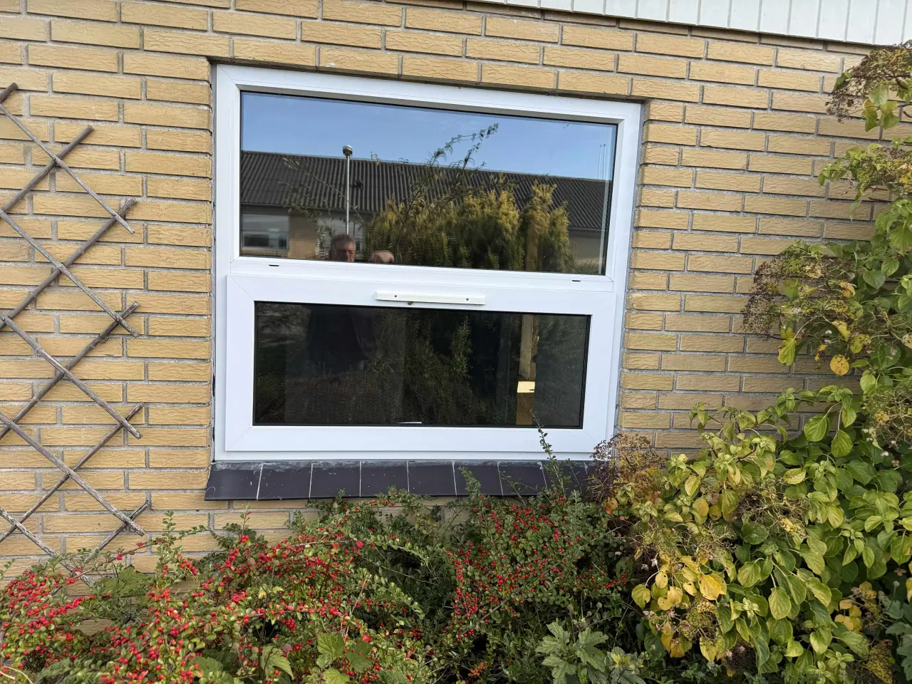 Billede 3 - Vinduer (plastic)