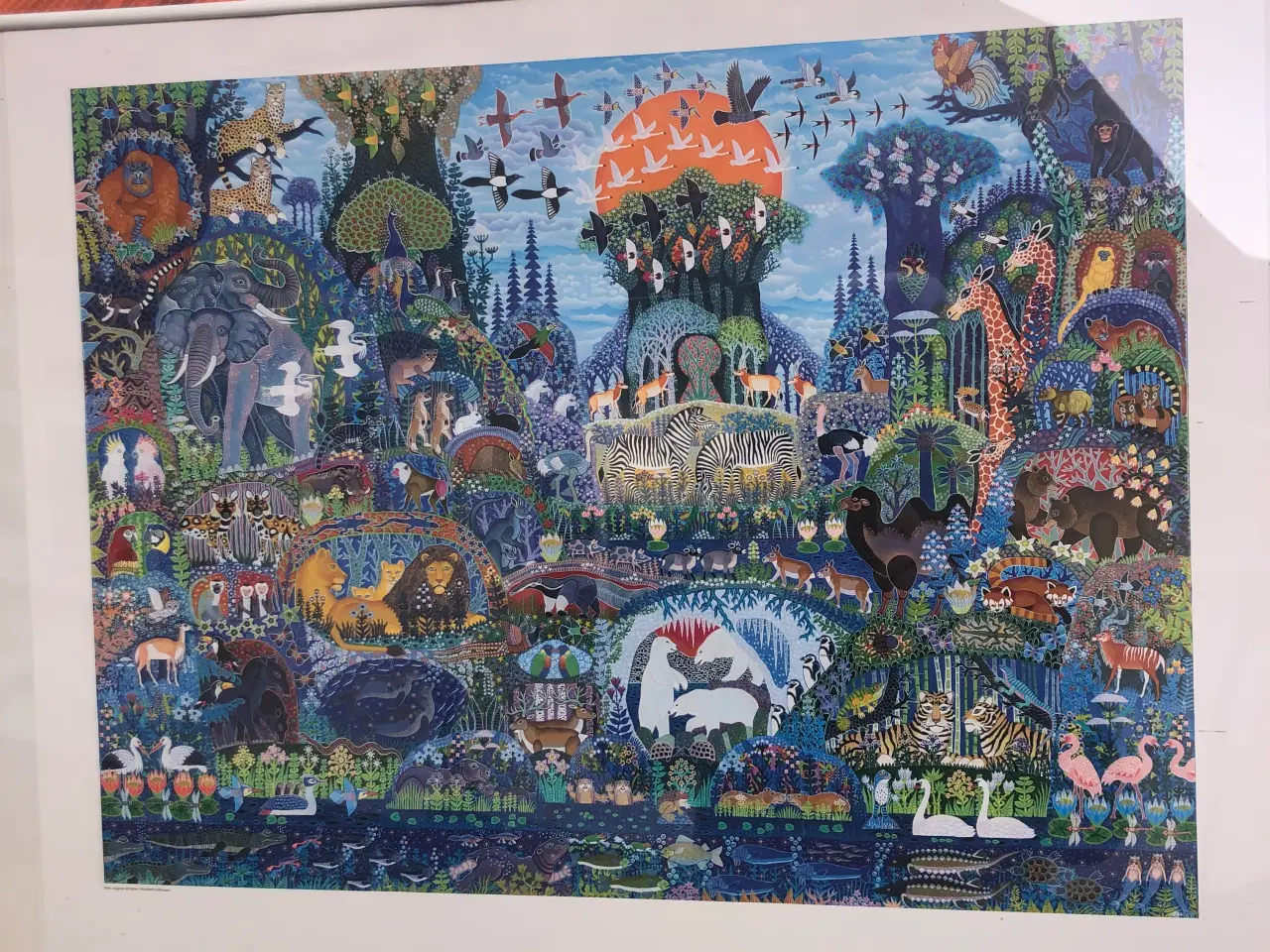 Billede 2 - Jubilæumsbillede Aalborg zoo Esben Hanefelt