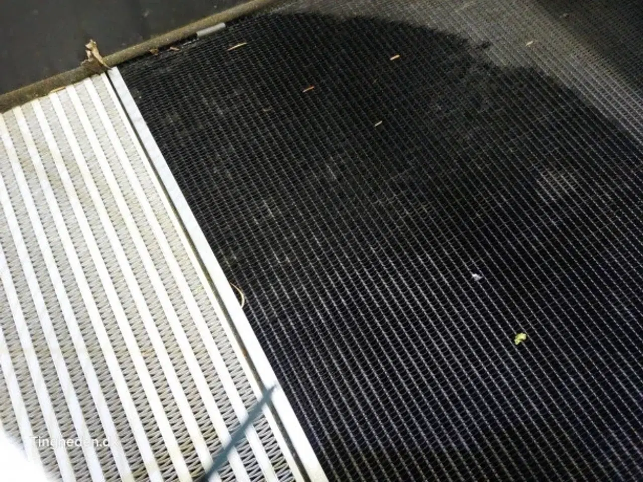 Billede 2 - Deutz BF6M1015CP Køler