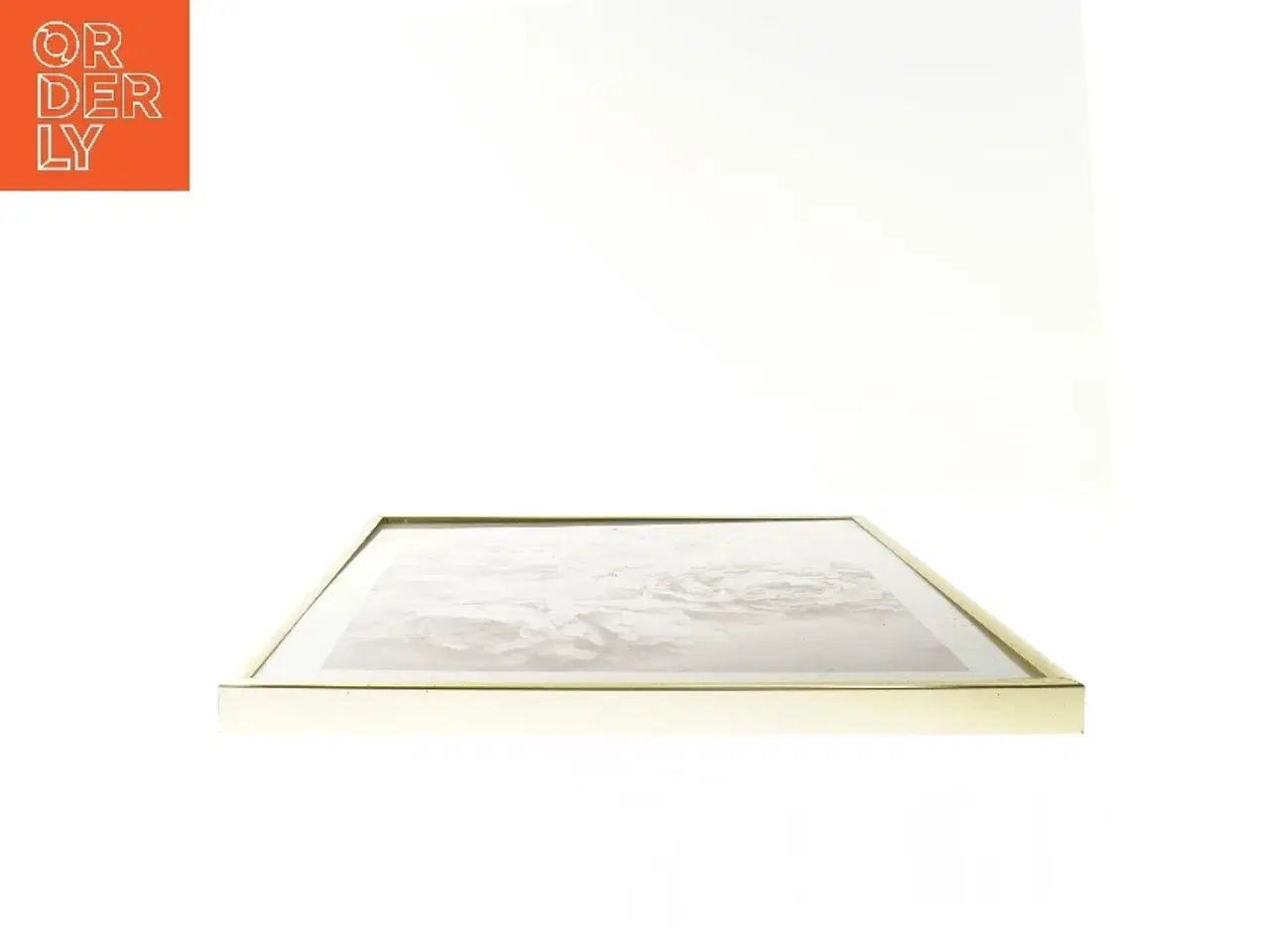 Billede 3 - Indrammet billede med bonderoser  (str. 31x41 cm)