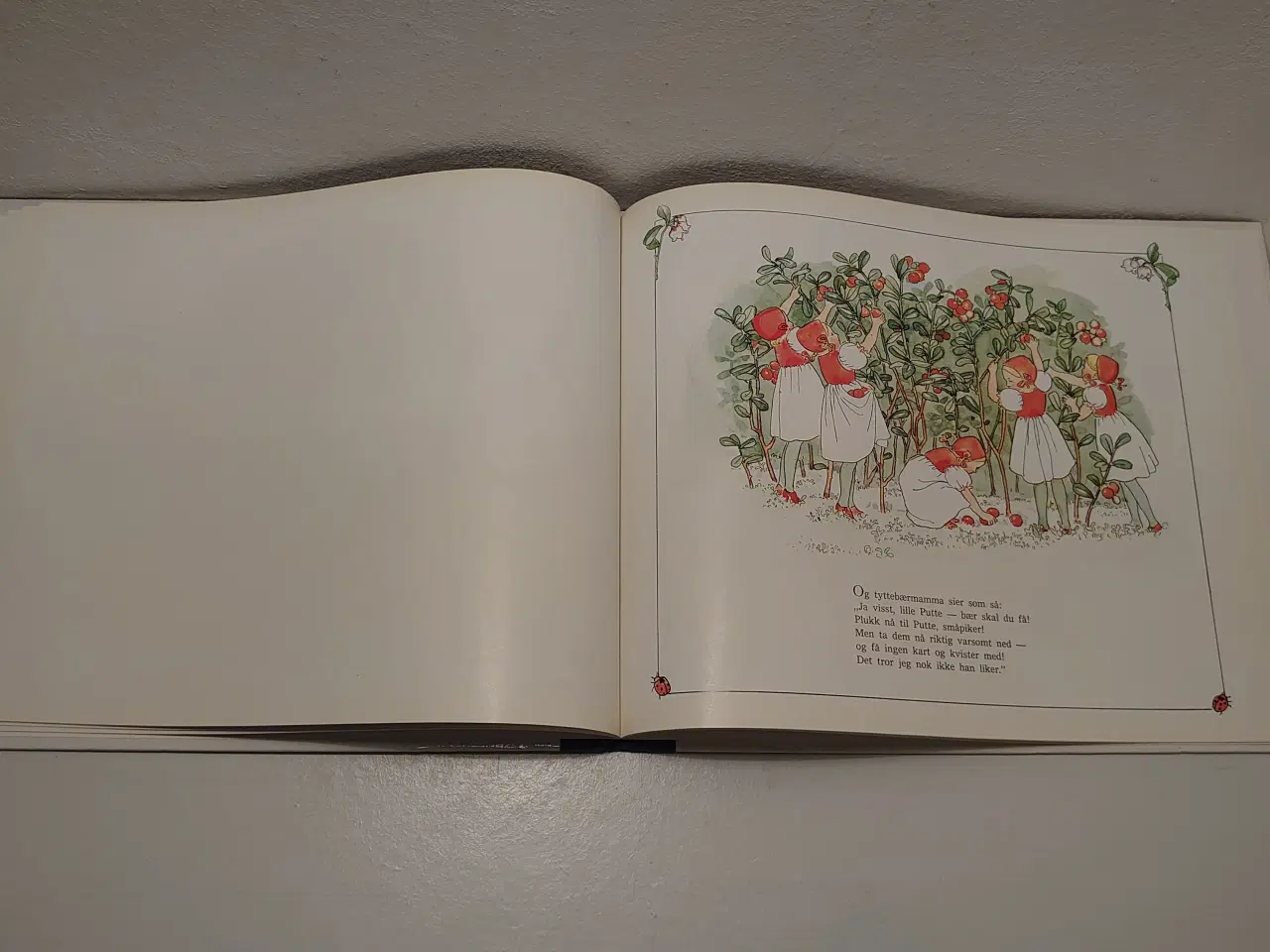 Billede 3 - Beskow;Puttes eventyr i Blåbærskogen. Norsk 1994.