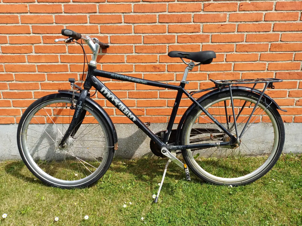 Billede 4 - Mosquito Street 