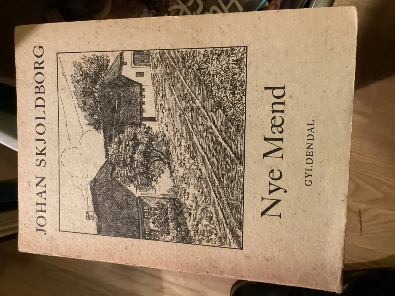 Billede 1 - Johan Skjoldborgs Nye Mænd