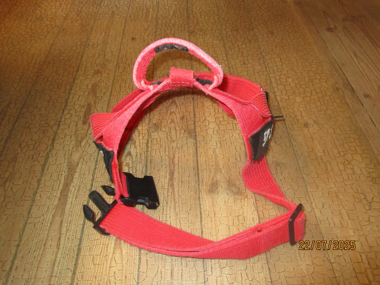 Billede 5 - Masser af nye ting til den lille og den store hund