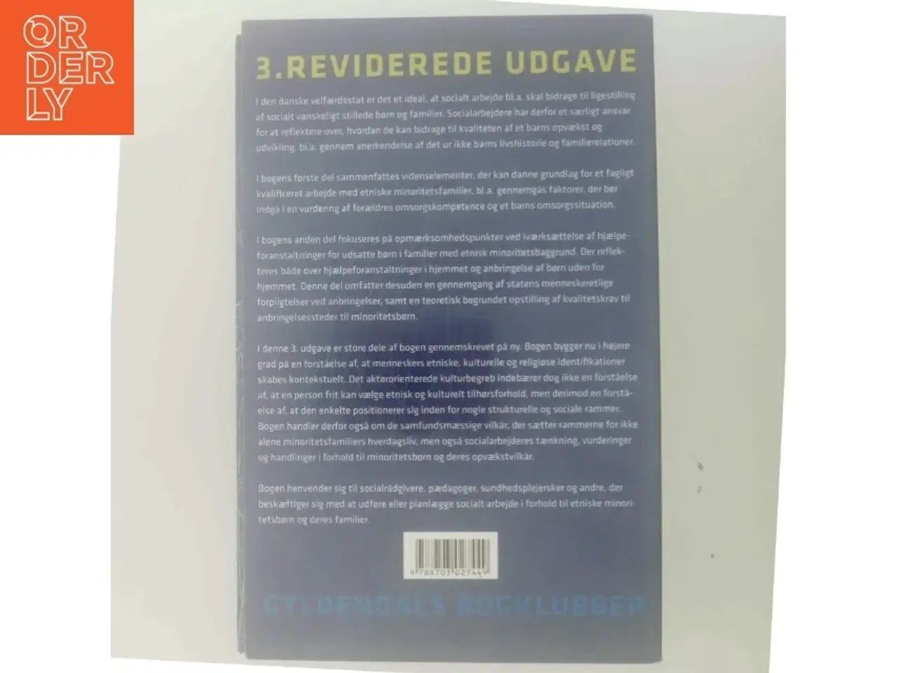 Billede 3 - Etniske minoritetsfamilier og socialt arbejde af Marianne Skytte (Bog)