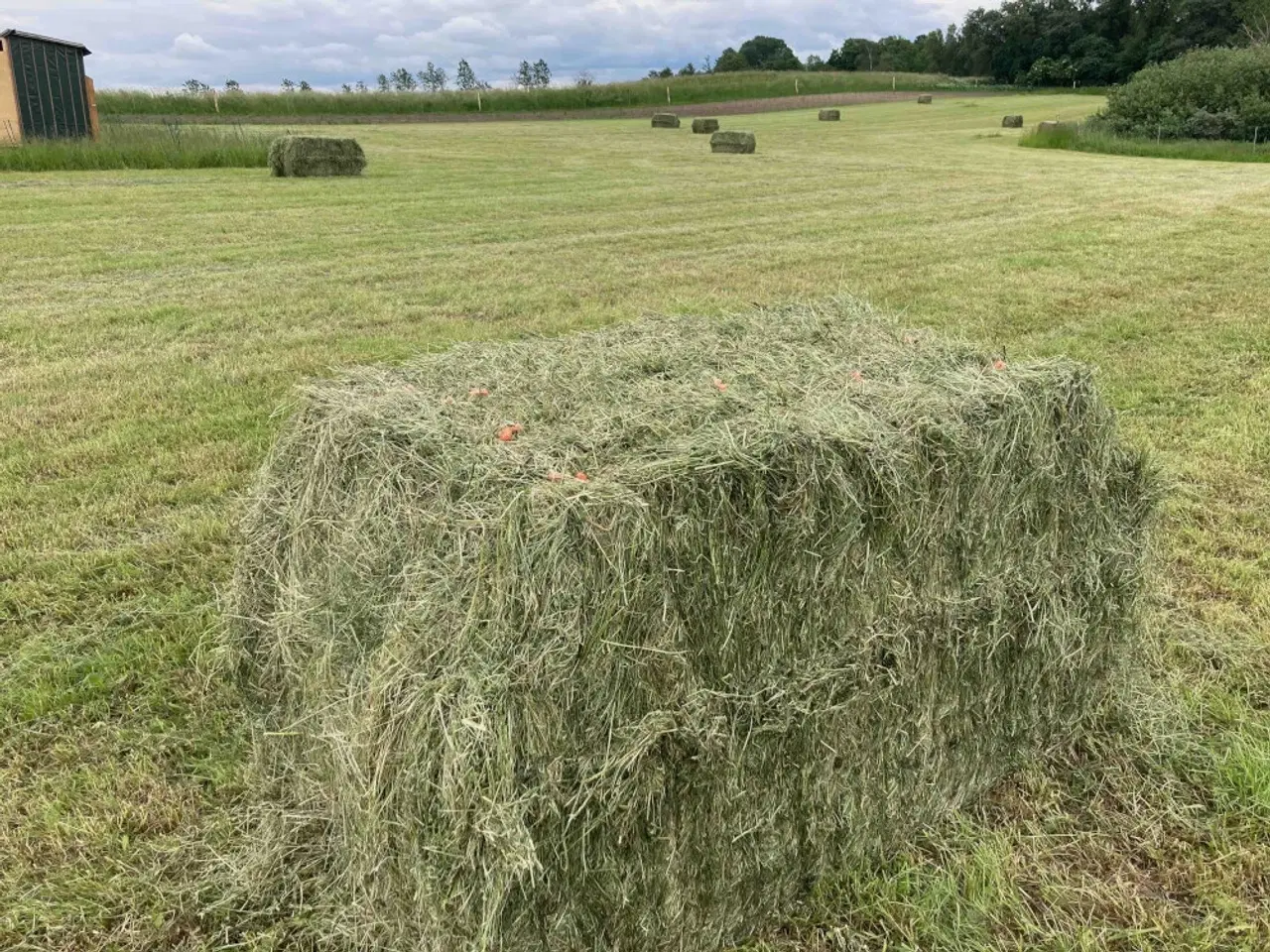 Billede 2 - Økologisk wraphø i lange Minibig (160 cm)