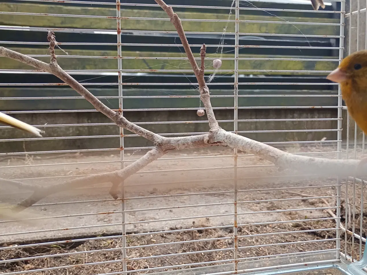 Billede 3 - Blandet farver/kobber