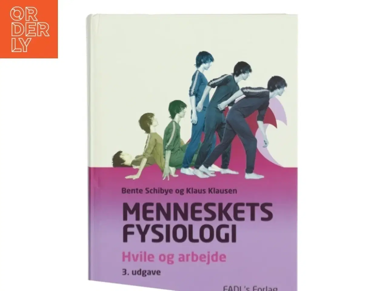 Billede 1 - Menneskets fysiologi : hvile og arbejde af Bente Schibye (Bog)