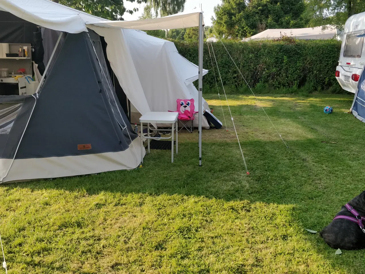 Billede 2 - Combi Camp Country 2017 sælges