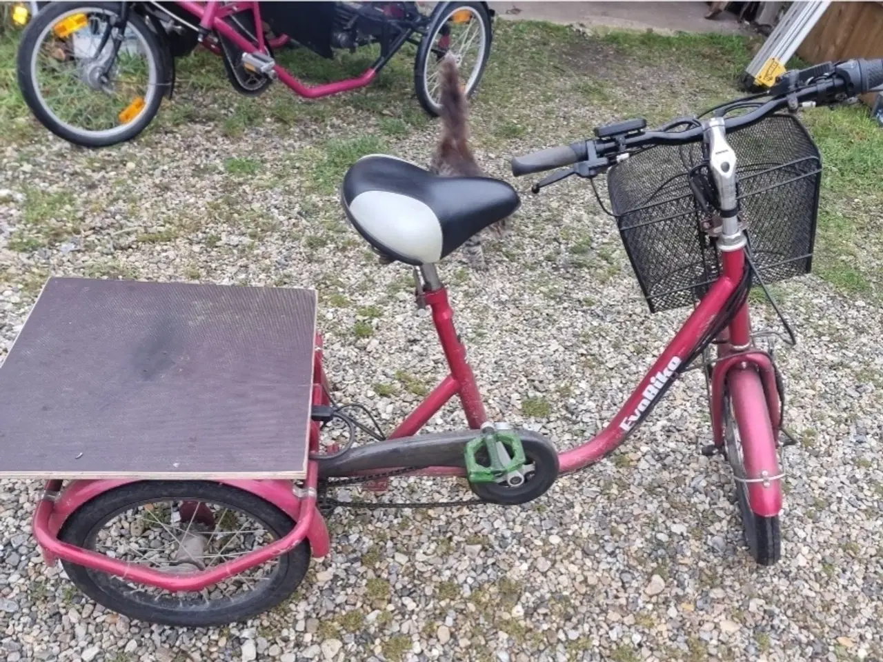 Billede 1 - EL Cykel 3 hjulet 