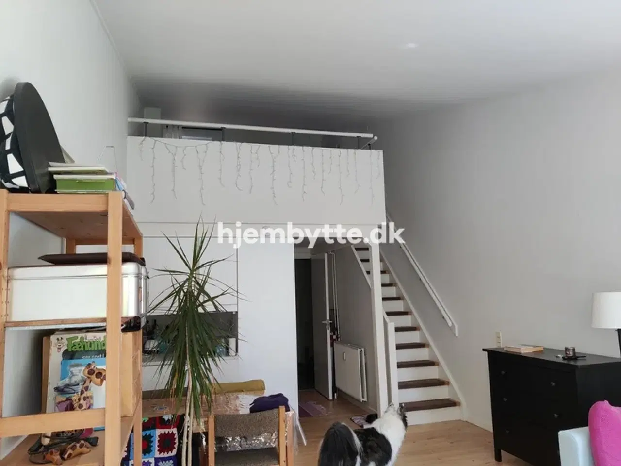 Billede 2 - Hjembytte - SvanholmVænge